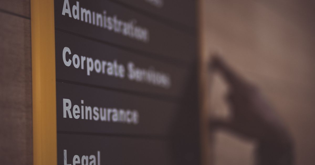 What Legal & Professional Services Firms Gain from Custom Software Development Tailored to Their Needs